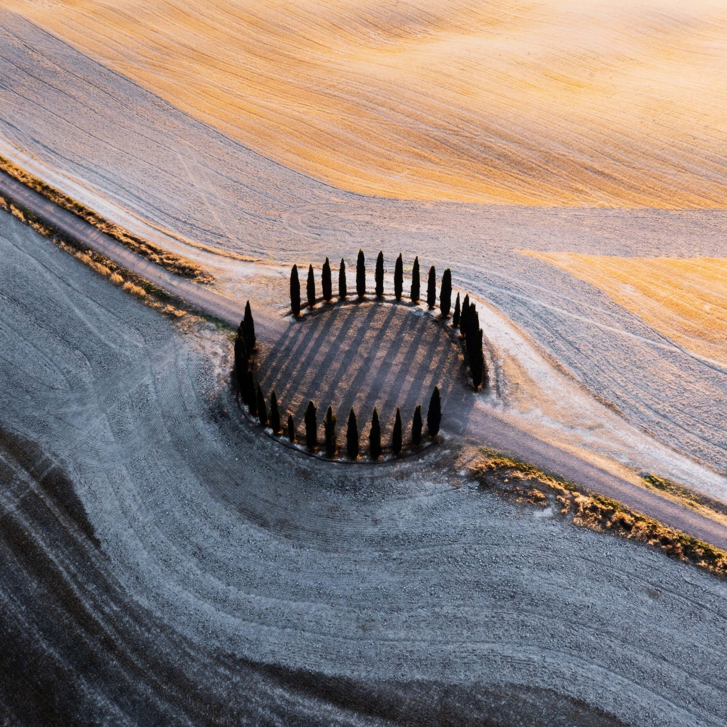 Synchronism by Getty Images